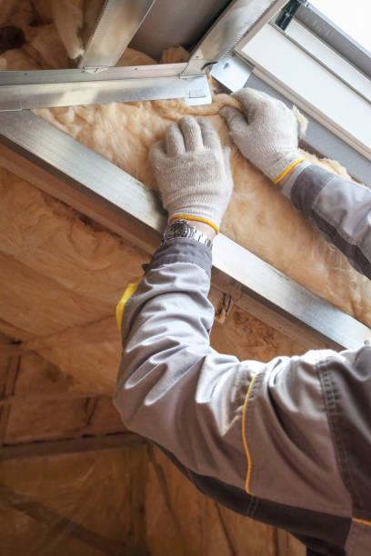 Best Affordable Insulation Services  in Walkerton, IN