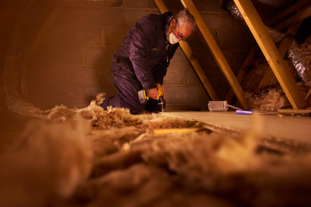 Best Soundproof Insulation Installation  in Walkerton, IN